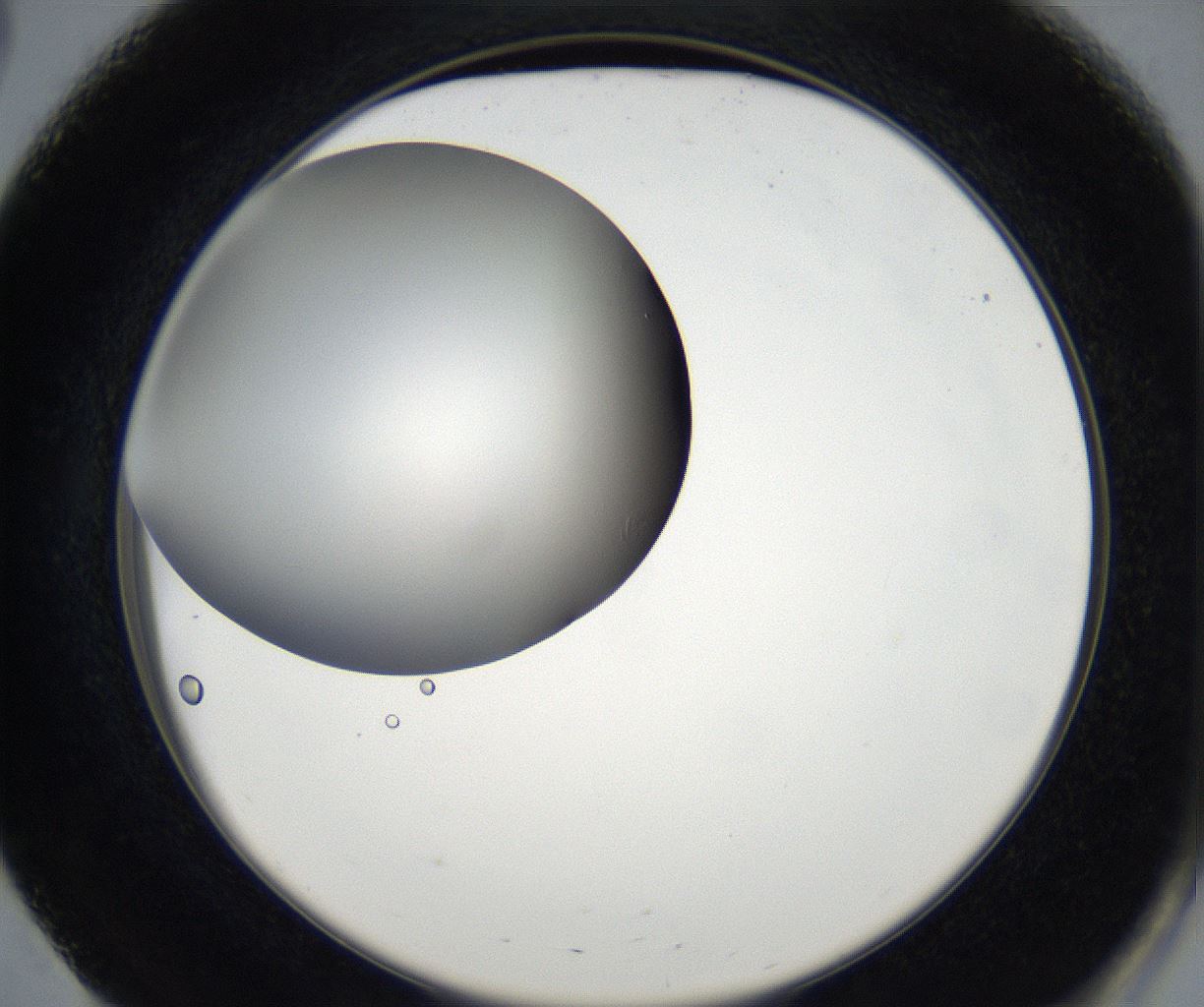 folderID171_plateID2171_batchID9605_wellNum51_profileID1_d2_r145900_ef.jpg