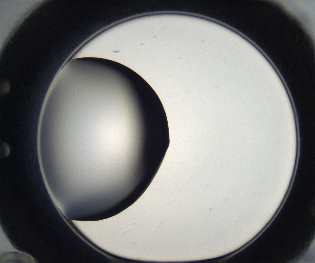 folderID171_plateID2171_batchID9605_wellNum60_profileID1_d1_r145917_ef.jpg
