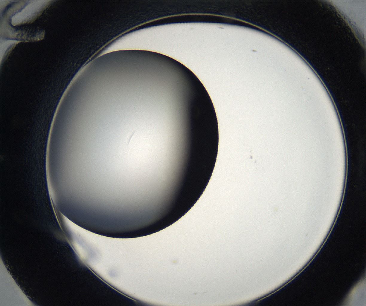 folderID171_plateID2171_batchID9605_wellNum60_profileID1_d2_r145918_ef.jpg