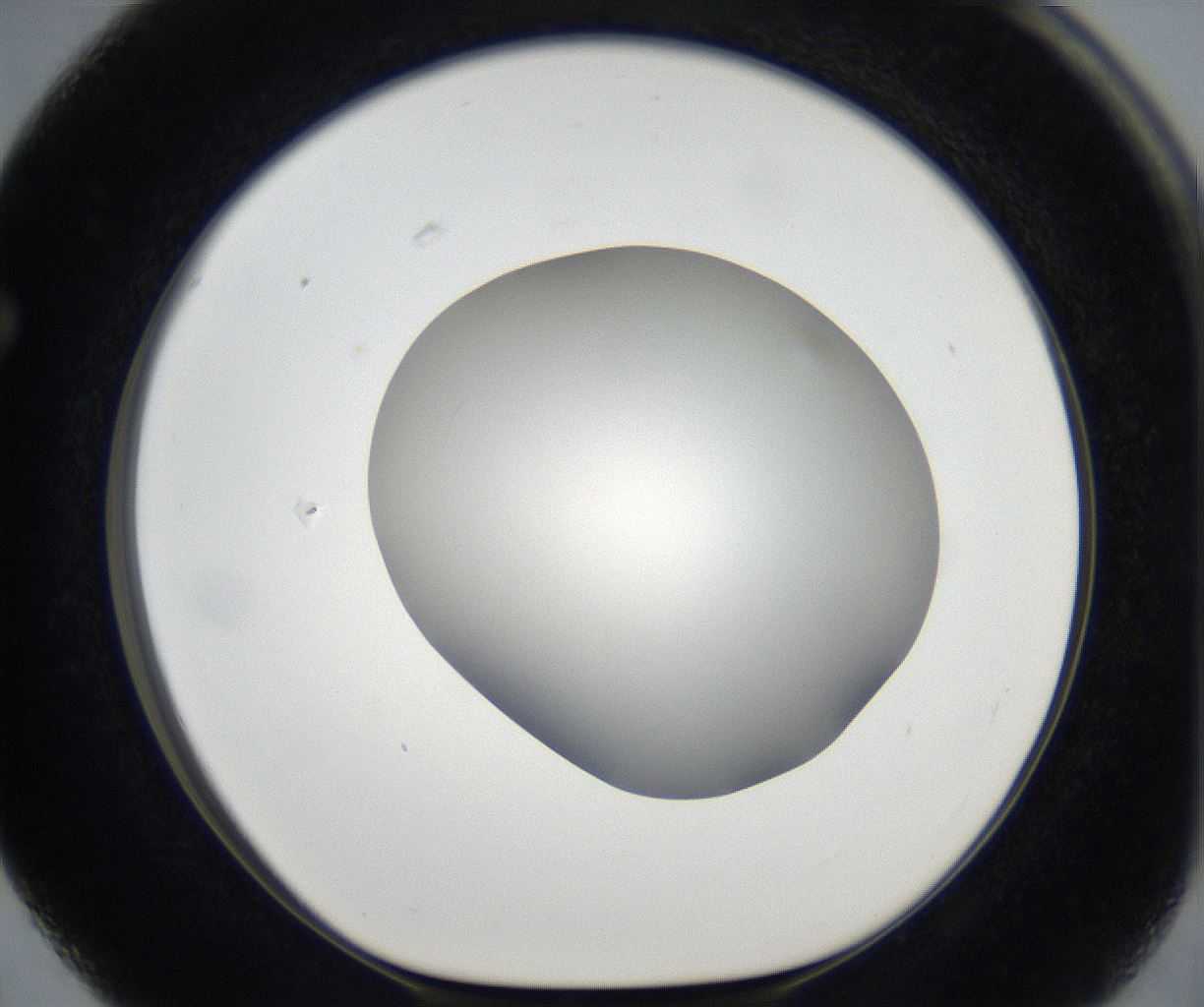 folderID171_plateID2171_batchID9605_wellNum63_profileID1_d1_r145923_ef.jpg