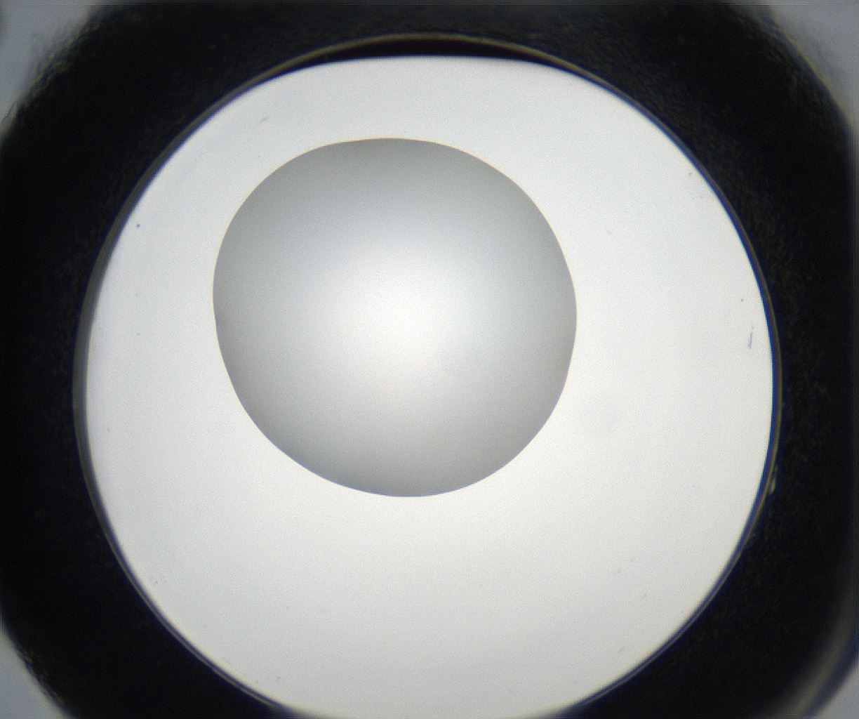 folderID171_plateID2171_batchID9605_wellNum64_profileID1_d2_r145926_ef.jpg