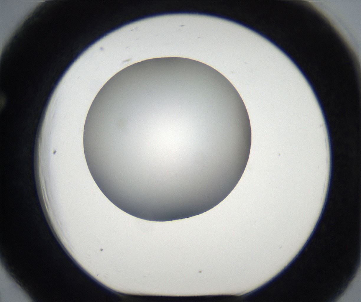 folderID171_plateID2171_batchID9605_wellNum66_profileID1_d1_r145929_ef.jpg