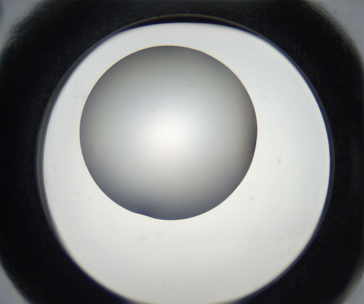 folderID171_plateID2171_batchID9605_wellNum66_profileID1_d2_r145930_ef.jpg
