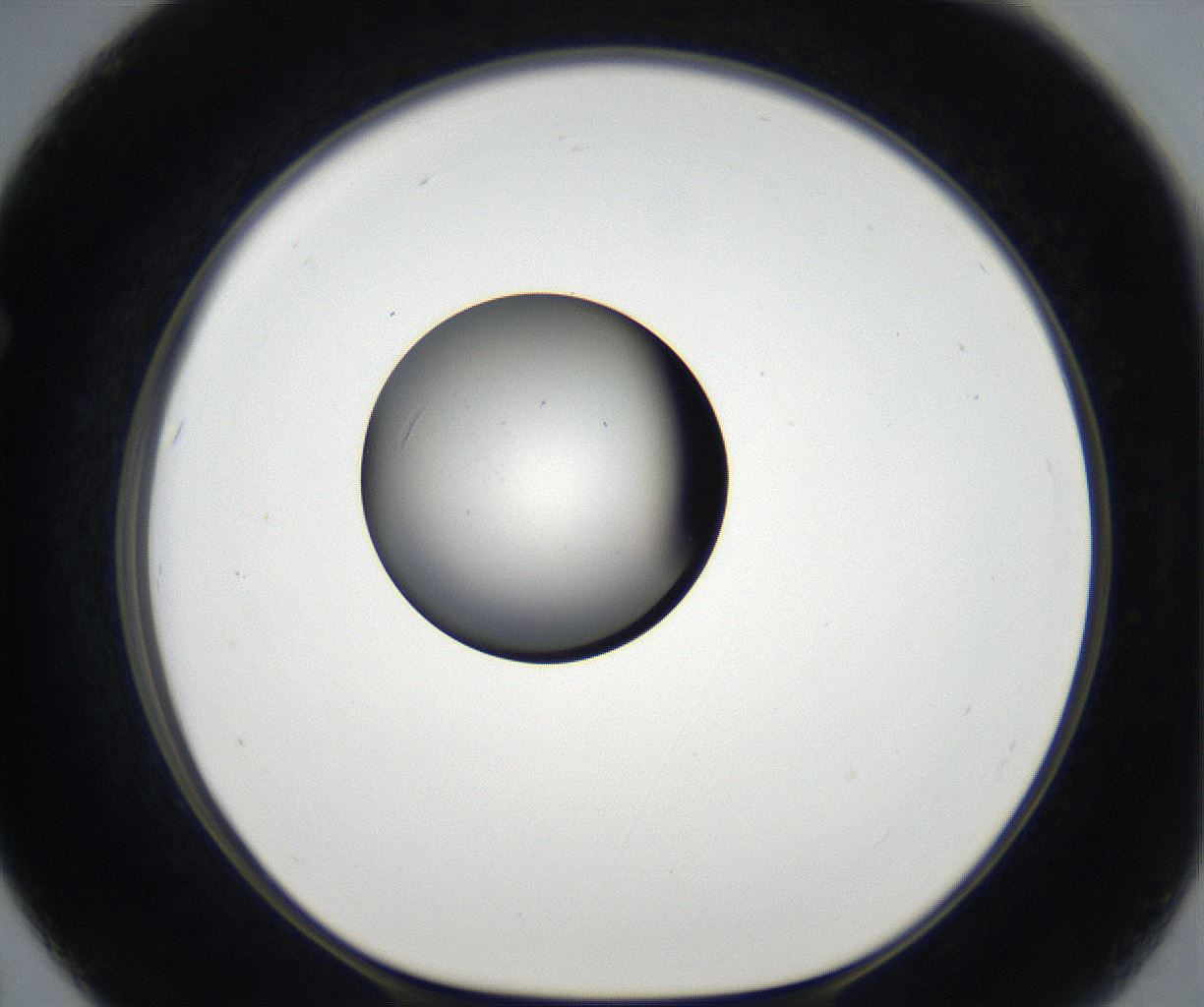 folderID171_plateID2171_batchID9605_wellNum67_profileID1_d1_r145931_ef.jpg
