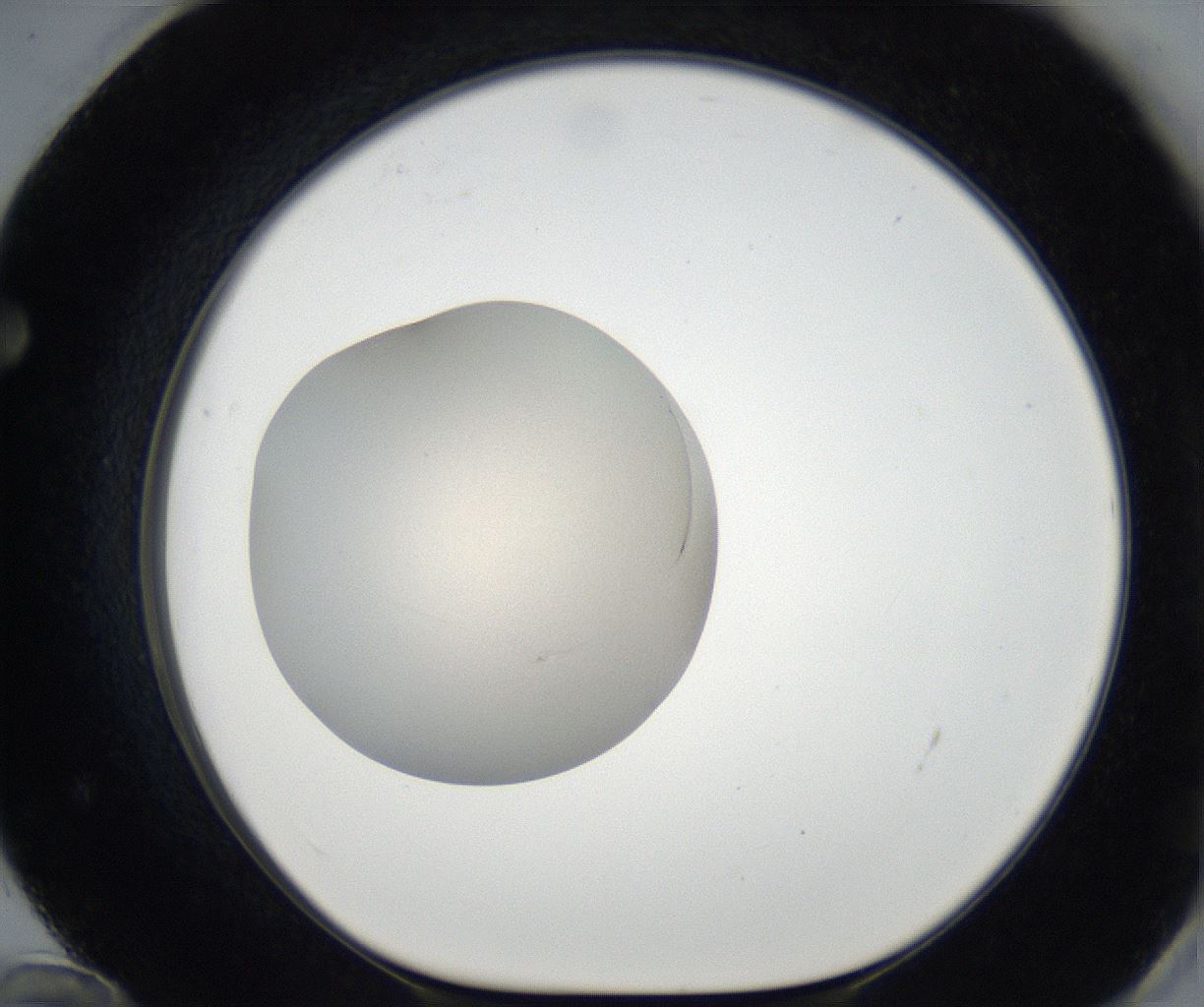 folderID171_plateID2171_batchID9605_wellNum72_profileID1_d1_r145941_ef.jpg