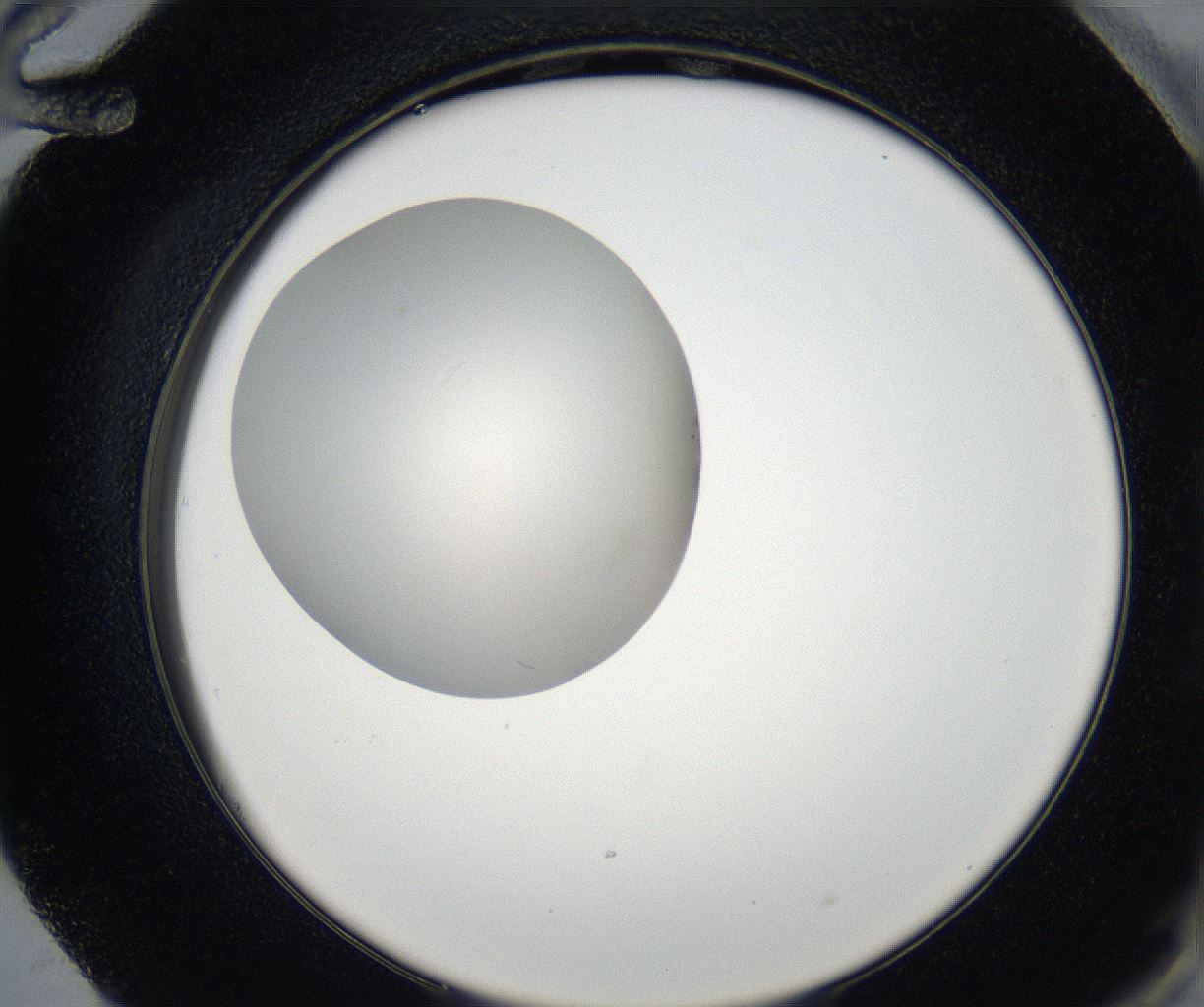 folderID171_plateID2171_batchID9605_wellNum72_profileID1_d2_r145942_ef.jpg