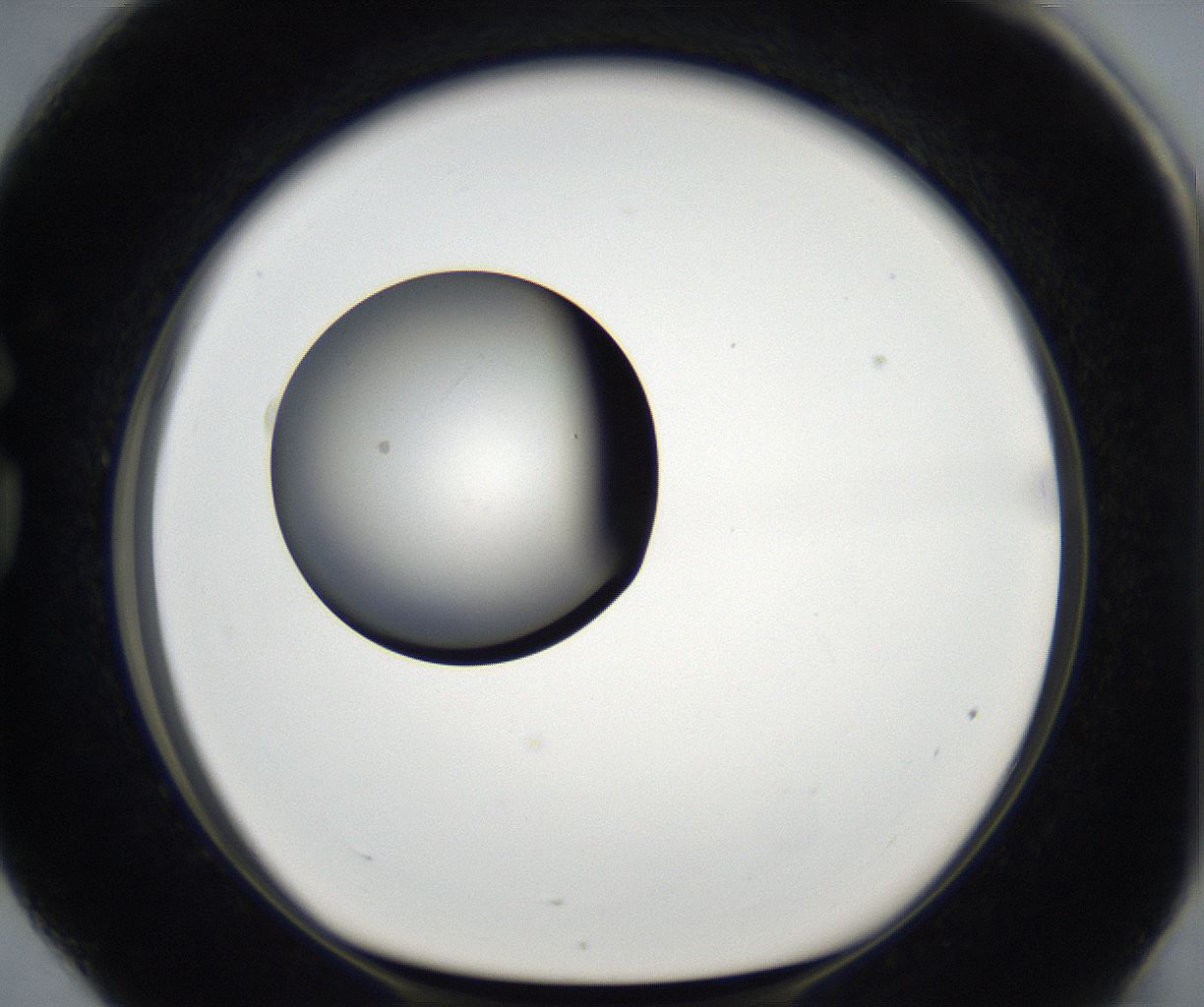 folderID171_plateID2171_batchID9605_wellNum76_profileID1_d1_r145949_ef.jpg