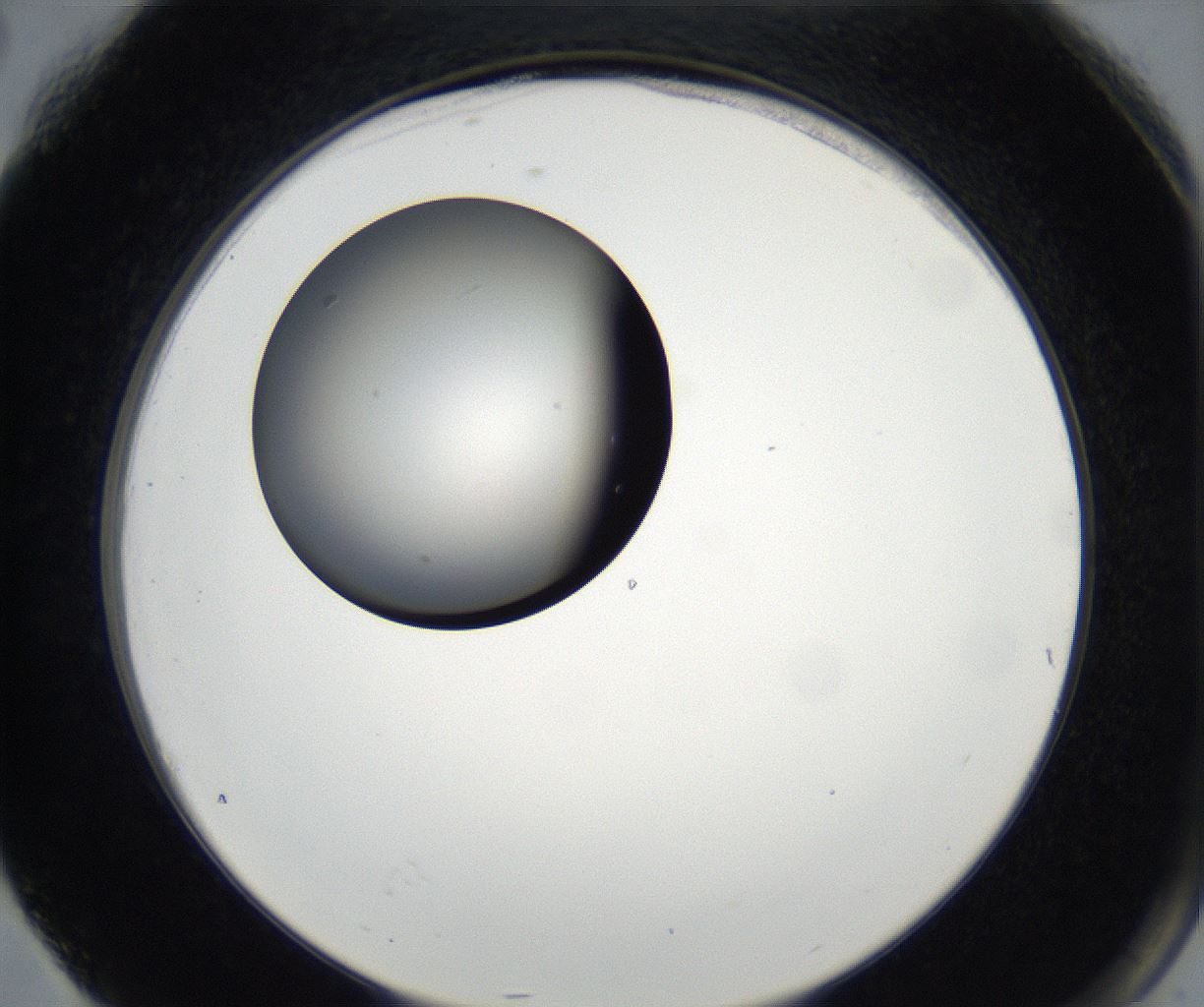 folderID171_plateID2171_batchID9605_wellNum76_profileID1_d2_r145950_ef.jpg