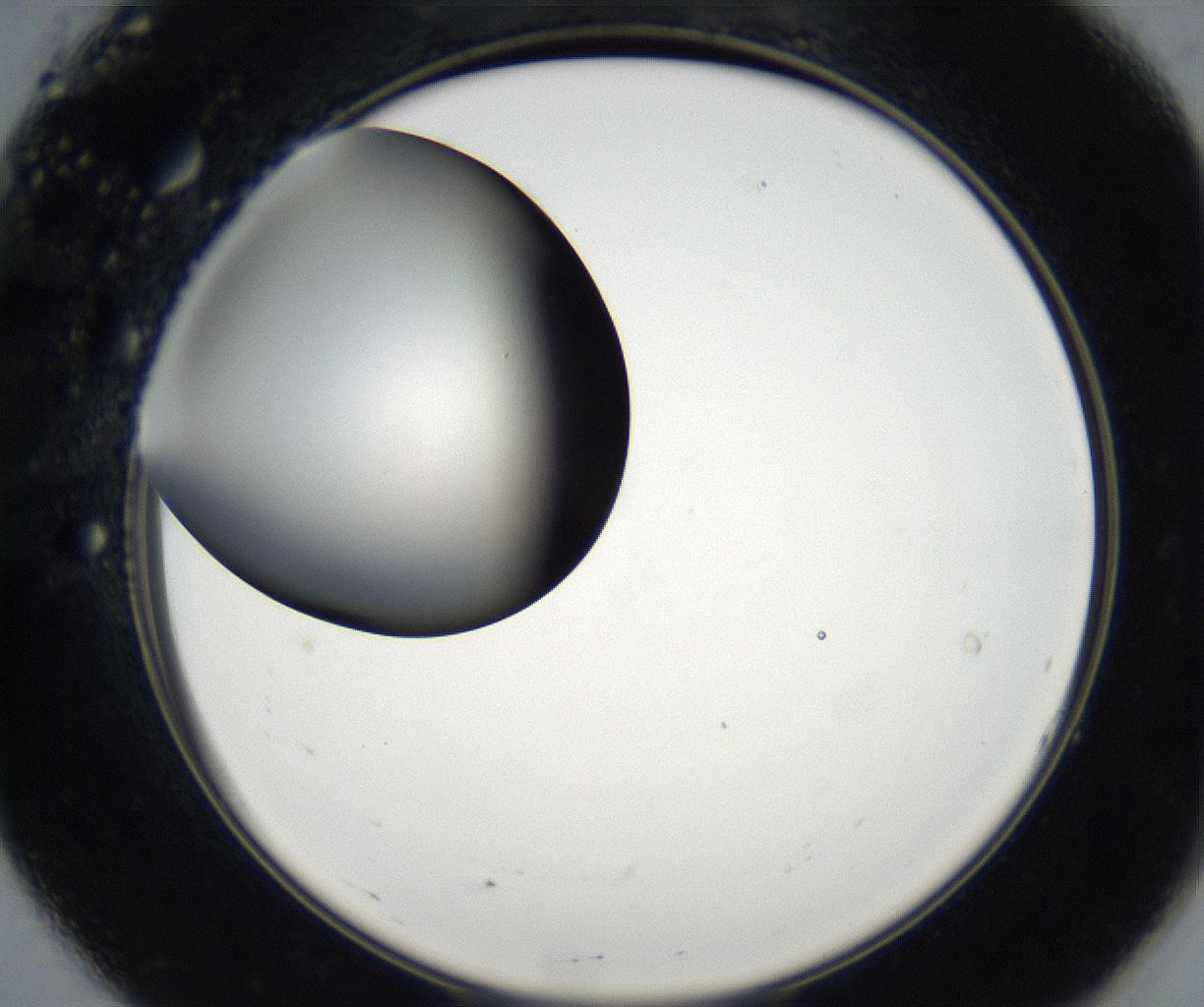 folderID171_plateID2171_batchID9605_wellNum7_profileID1_d2_r145812_ef.jpg