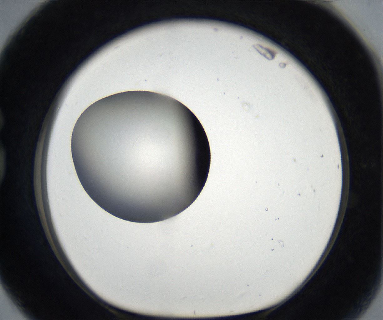 folderID171_plateID2171_batchID9605_wellNum80_profileID1_d1_r145957_ef.jpg