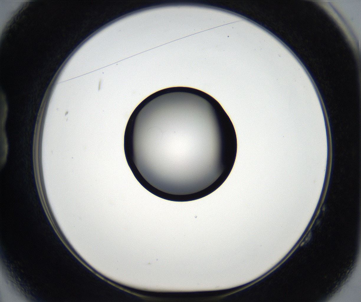 folderID173_plateID2173_batchID9606_wellNum14_profileID1_d1_r146209_ef.jpg