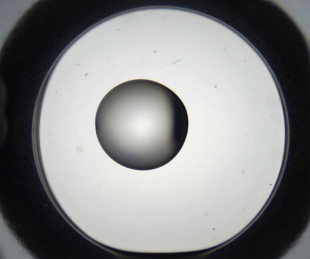 folderID173_plateID2173_batchID9606_wellNum21_profileID1_d1_r146223_ef.jpg