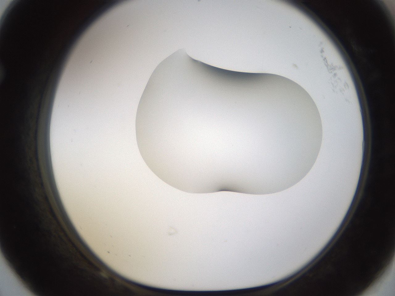 folderID175_plateID1175_batchID3226_wellNum68_profileID1_d1_r64322_ef.jpg