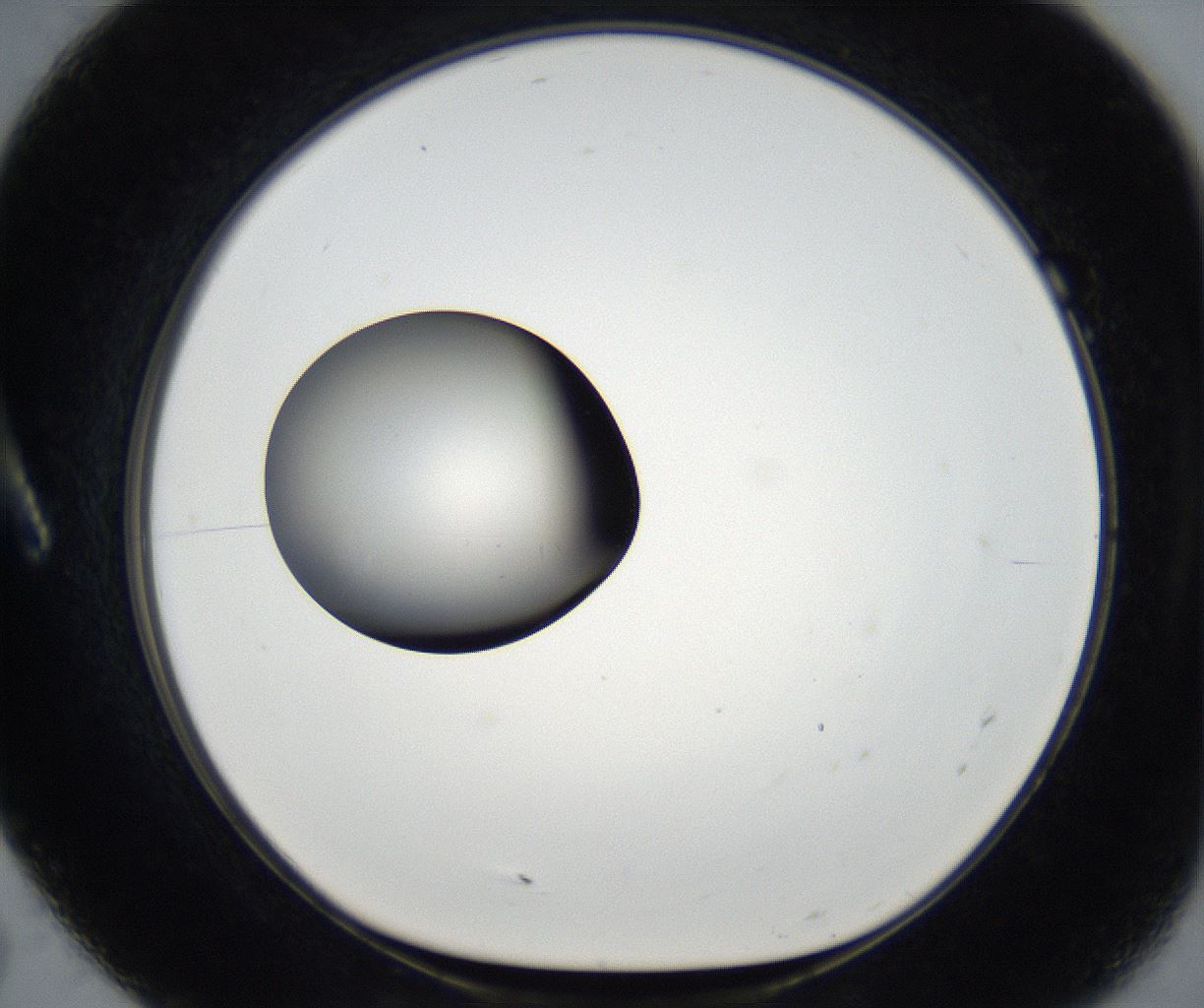 folderID175_plateID2175_batchID9608_wellNum7_profileID1_d1_r146963_ef.jpg
