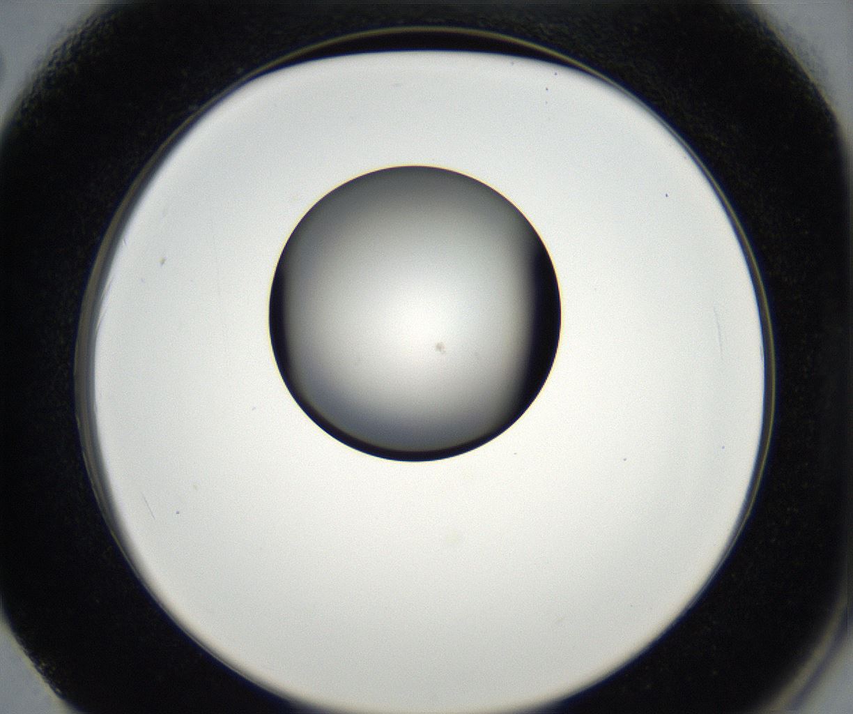 folderID173_plateID2173_batchID9606_wellNum62_profileID1_d2_r146306_ef.jpg