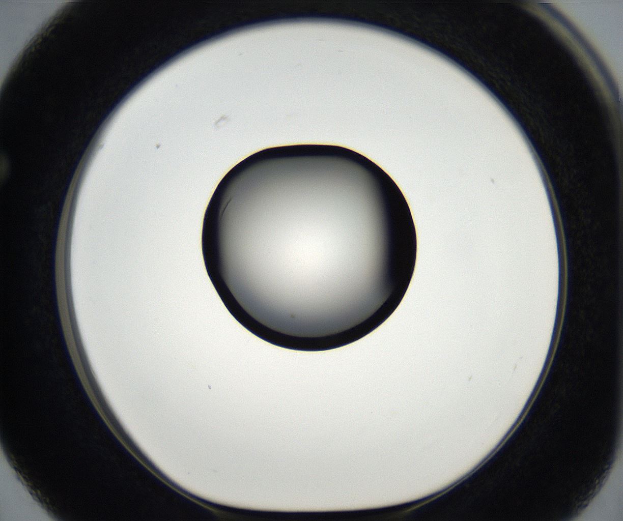 folderID173_plateID2173_batchID9606_wellNum63_profileID1_d1_r146307_ef.jpg