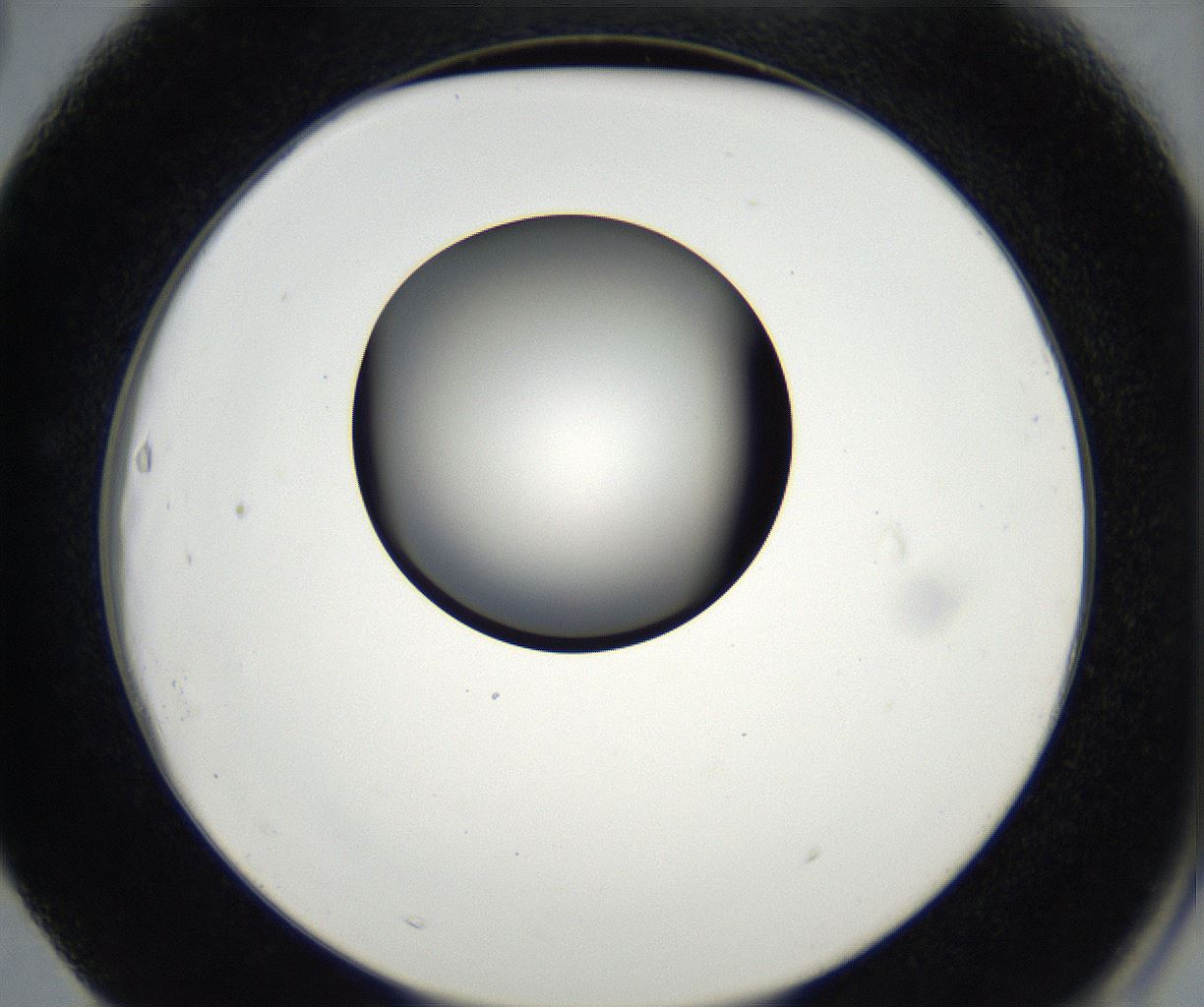 folderID173_plateID2173_batchID9606_wellNum63_profileID1_d2_r146308_ef.jpg
