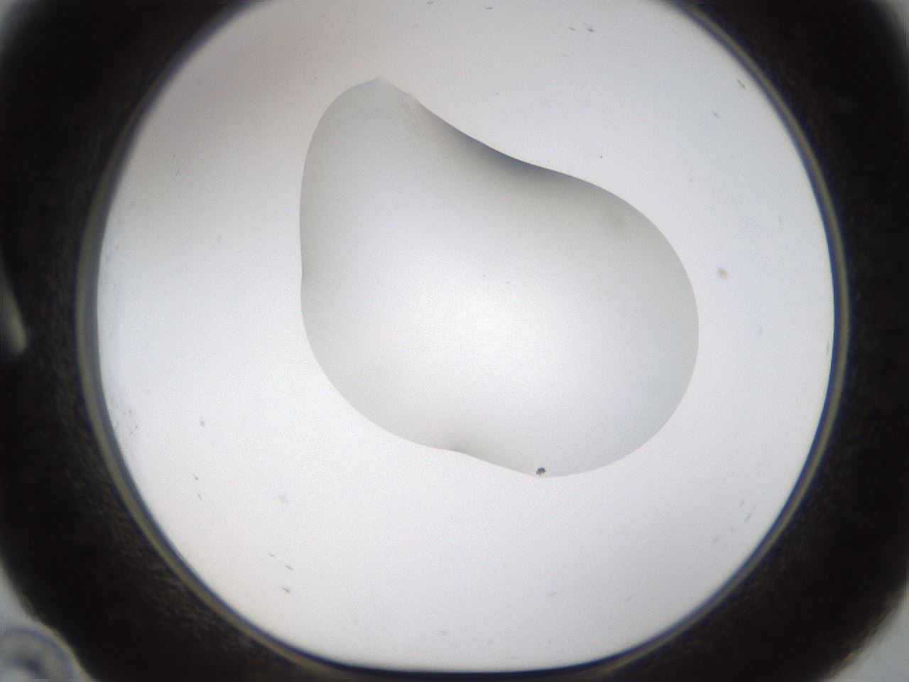 folderID175_plateID1175_batchID3226_wellNum10_profileID1_d1_r64264_ef.jpg