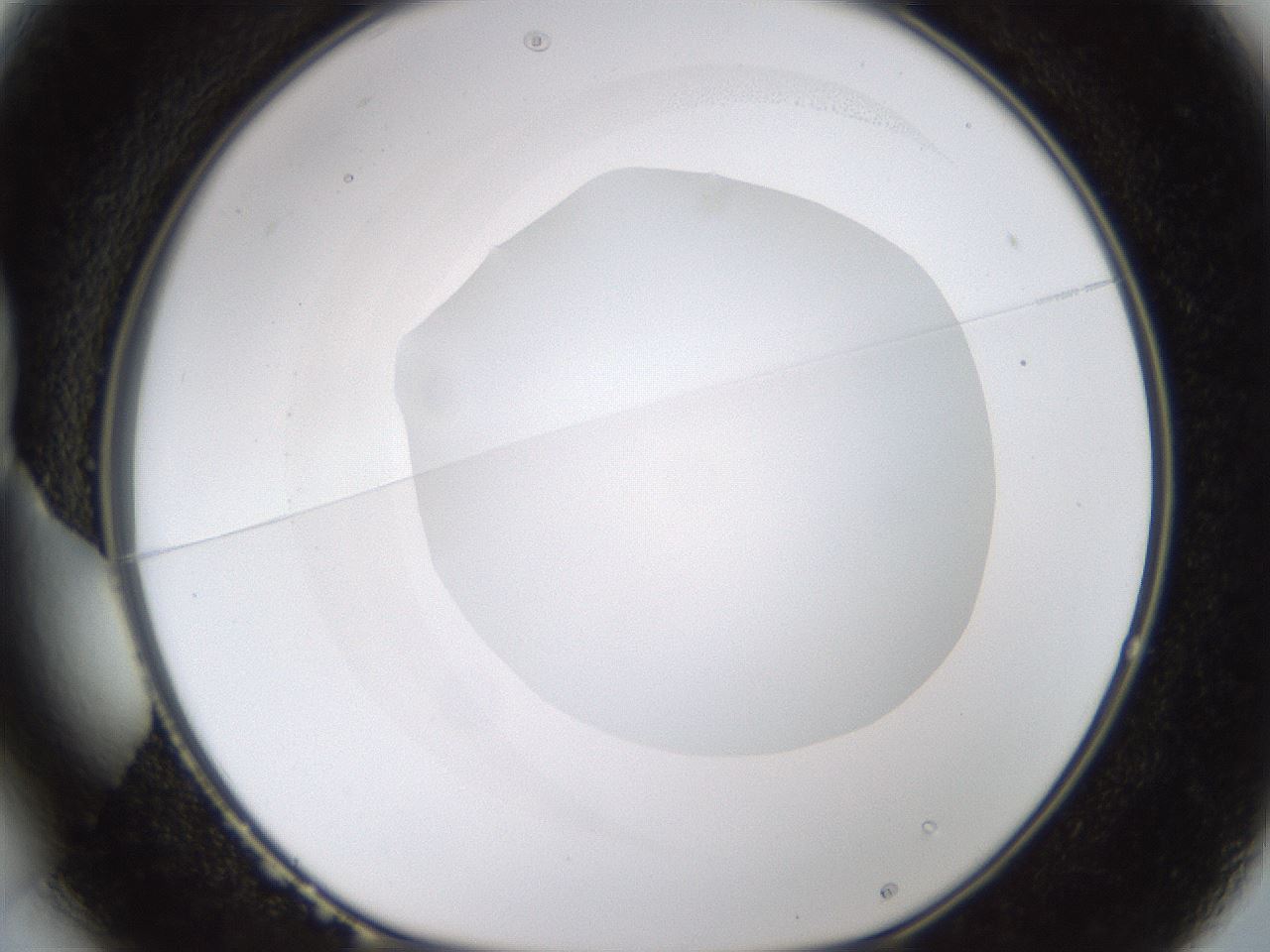 folderID175_plateID1175_batchID3226_wellNum13_profileID1_d1_r64267_ef.jpg
