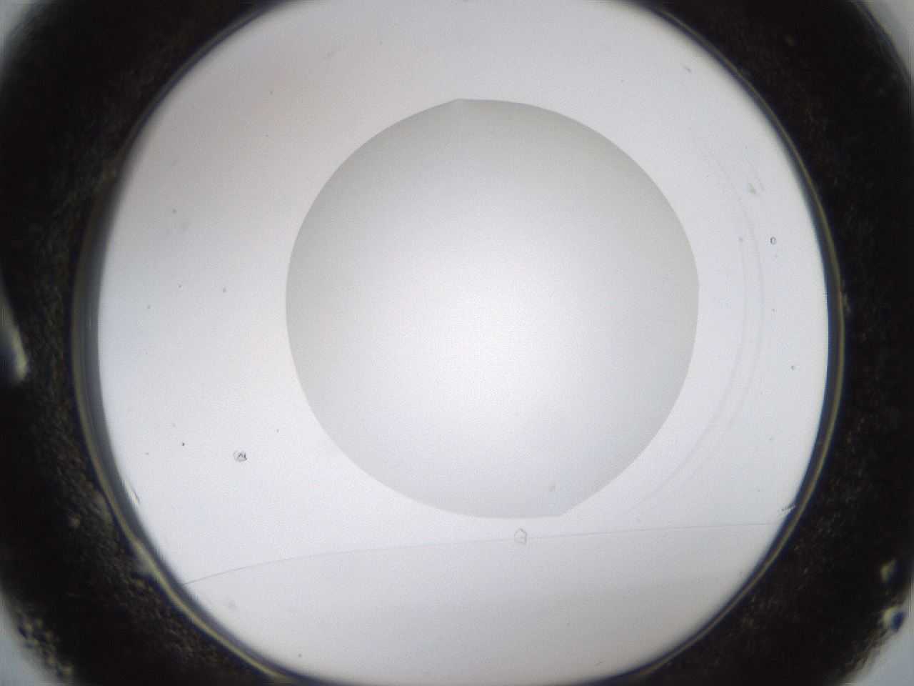folderID175_plateID1175_batchID3226_wellNum1_profileID1_d1_r64255_ef.jpg