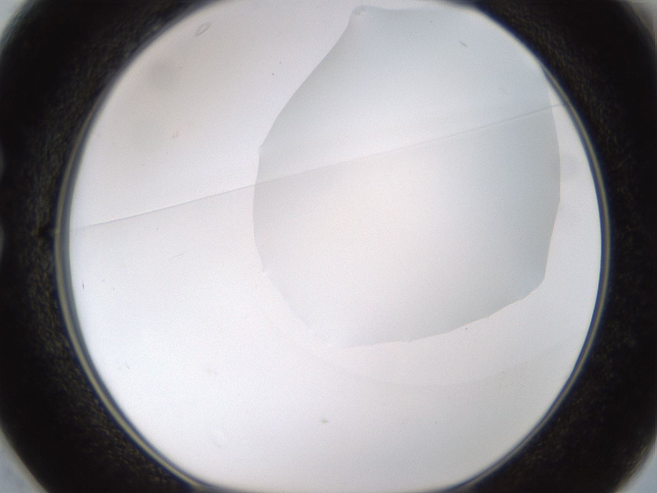 folderID175_plateID1175_batchID3226_wellNum25_profileID1_d1_r64279_ef.jpg