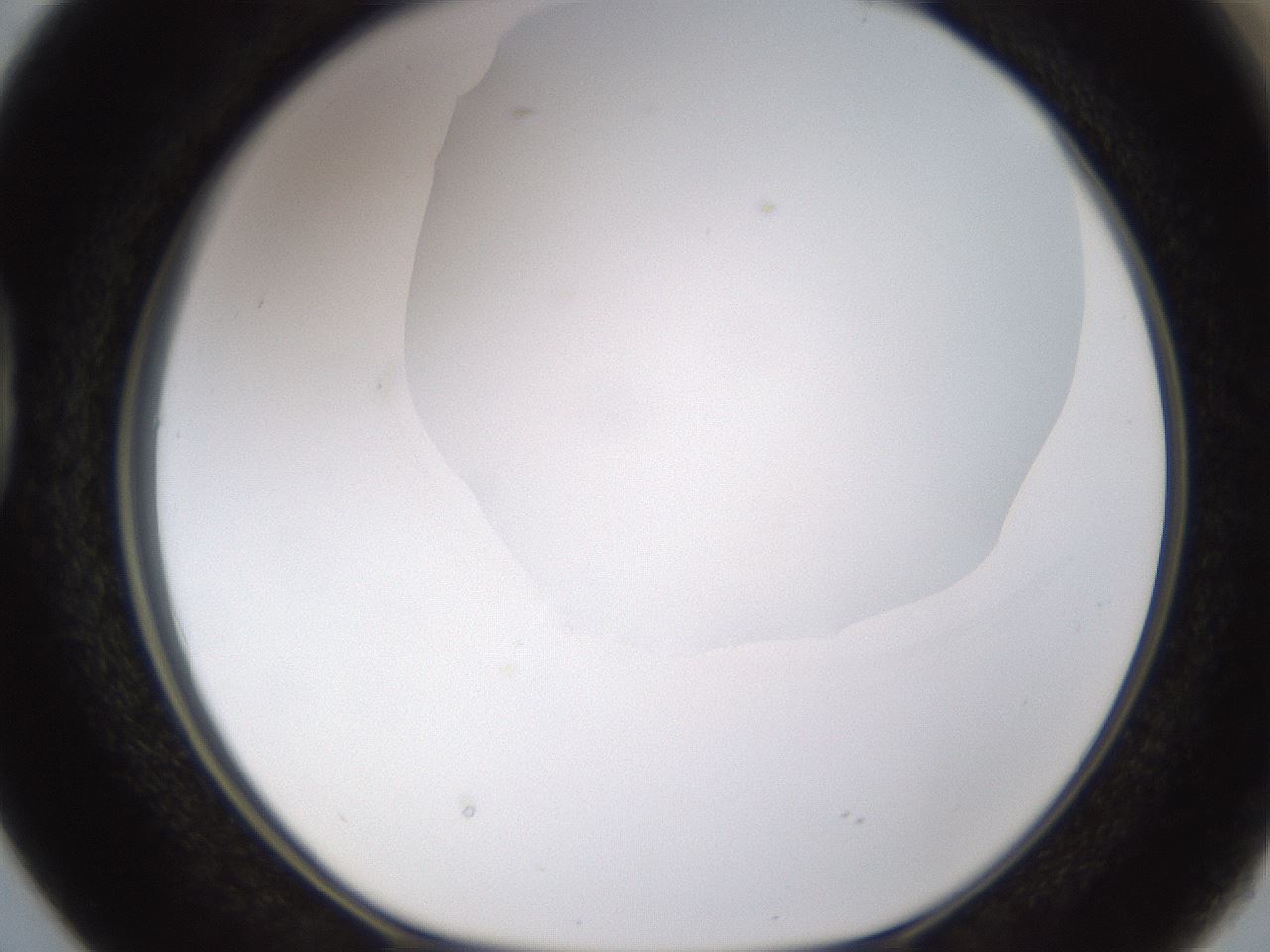 folderID175_plateID1175_batchID3226_wellNum38_profileID1_d1_r64292_ef.jpg