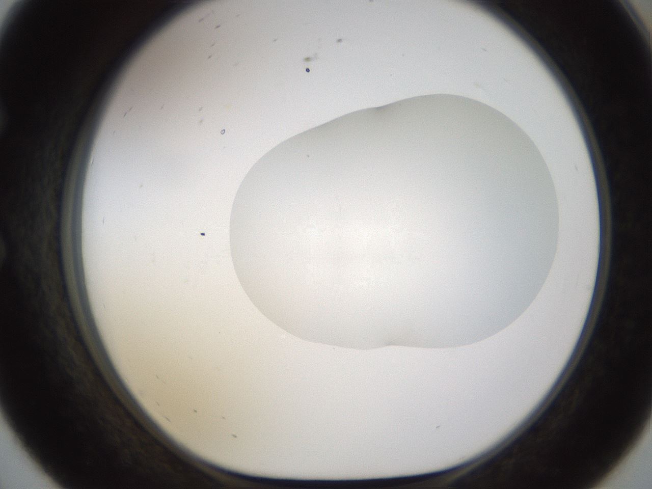folderID175_plateID1175_batchID3226_wellNum56_profileID1_d1_r64310_ef.jpg