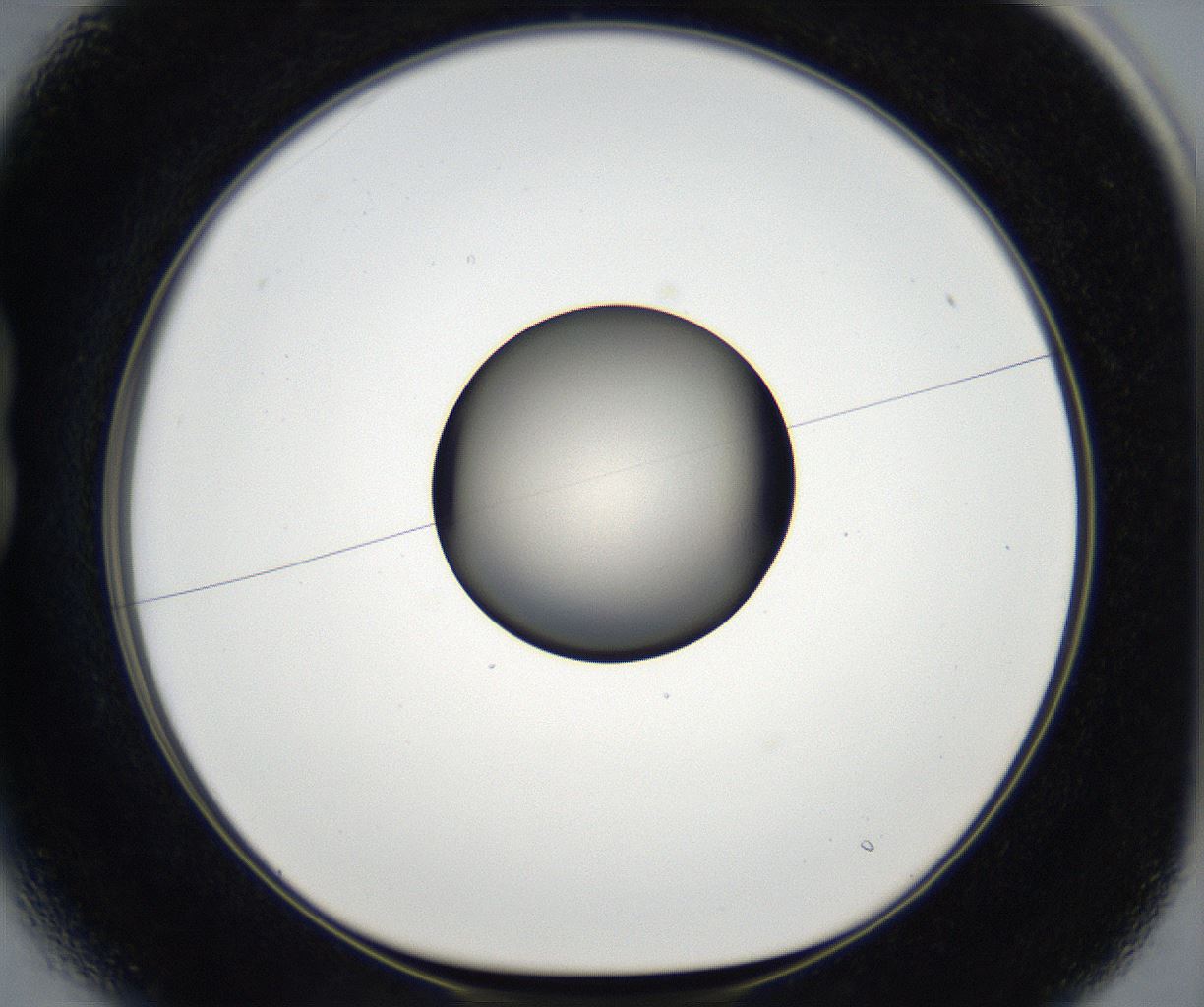 folderID175_plateID2175_batchID9608_wellNum13_profileID1_d1_r146975_ef.jpg