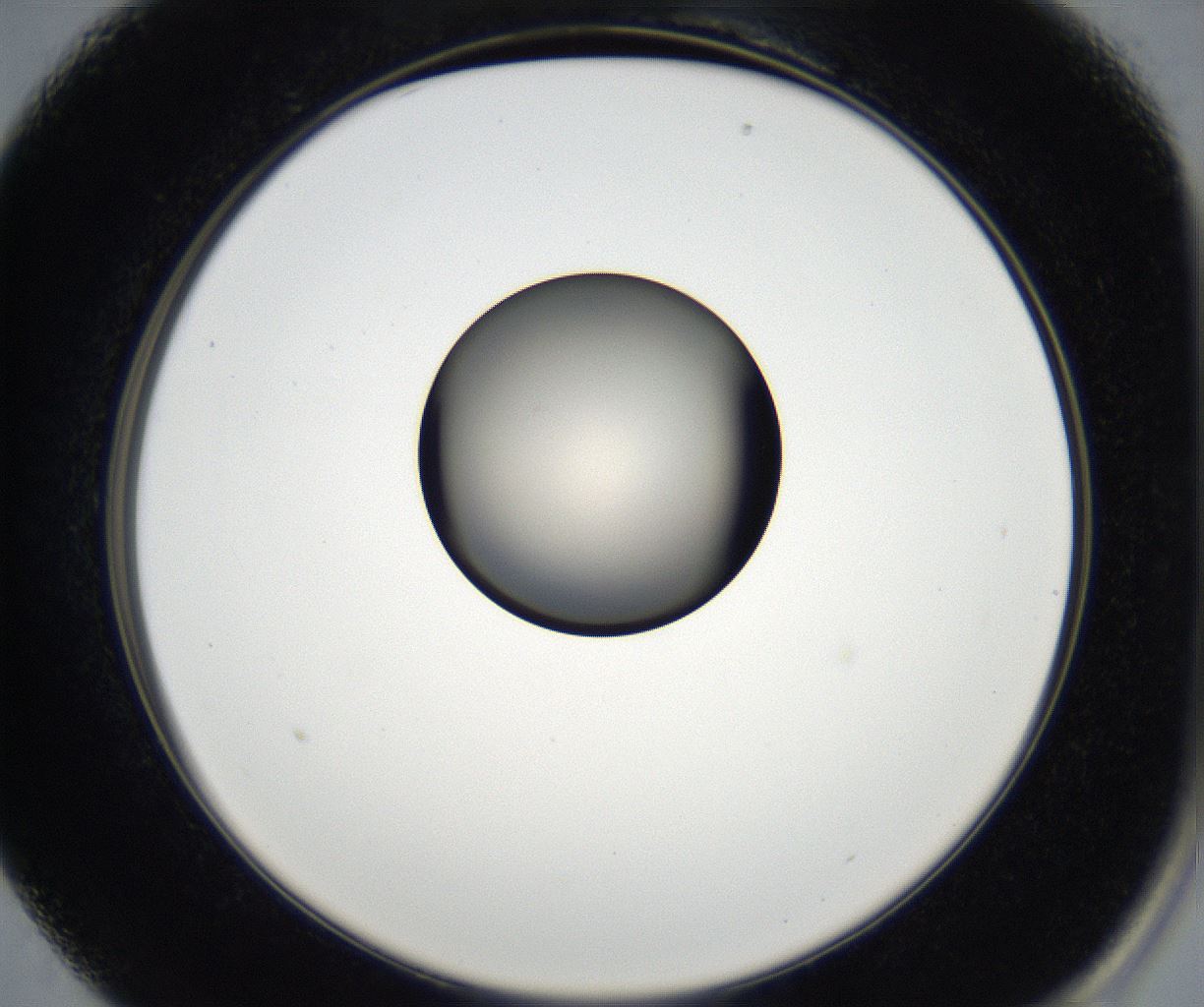 folderID175_plateID2175_batchID9608_wellNum13_profileID1_d2_r146976_ef.jpg