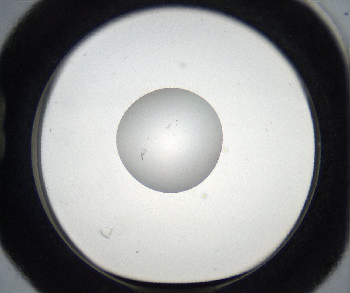 folderID175_plateID2175_batchID9608_wellNum16_profileID1_d1_r146981_ef.jpg