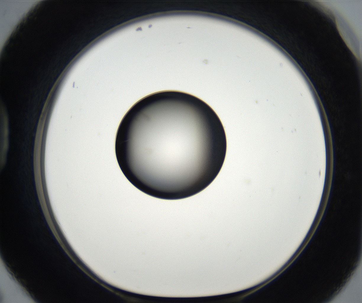 folderID175_plateID2175_batchID9608_wellNum42_profileID1_d1_r147033_ef.jpg