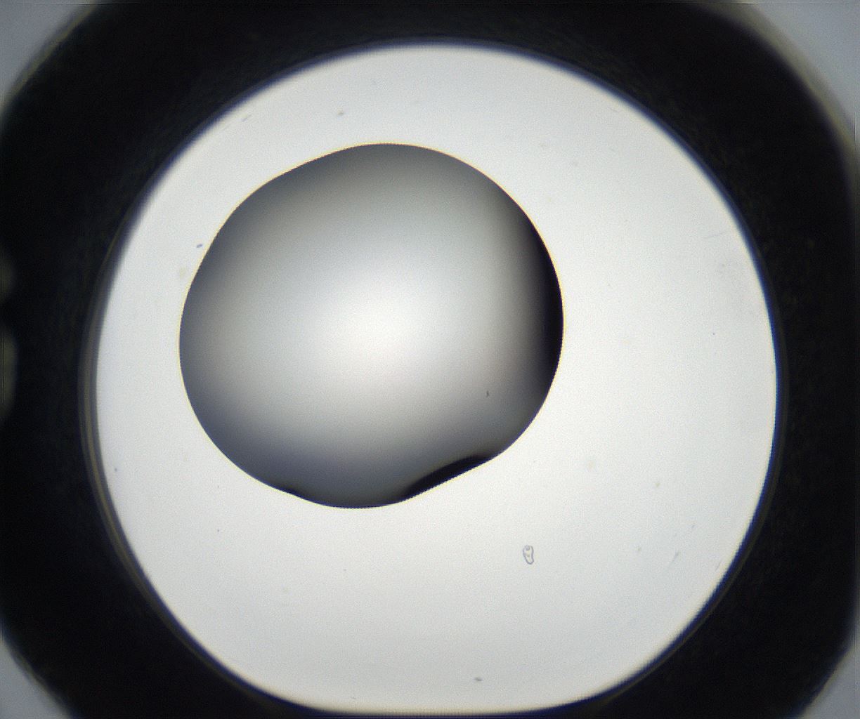 folderID175_plateID2175_batchID9608_wellNum78_profileID1_d1_r147105_ef.jpg