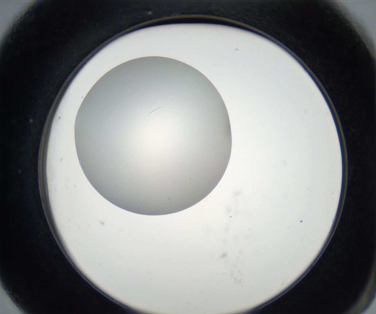 folderID175_plateID2175_batchID9608_wellNum79_profileID1_d2_r147108_ef.jpg