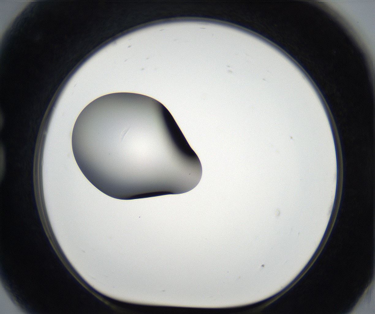 folderID175_plateID2175_batchID9608_wellNum81_profileID1_d1_r147111_ef.jpg