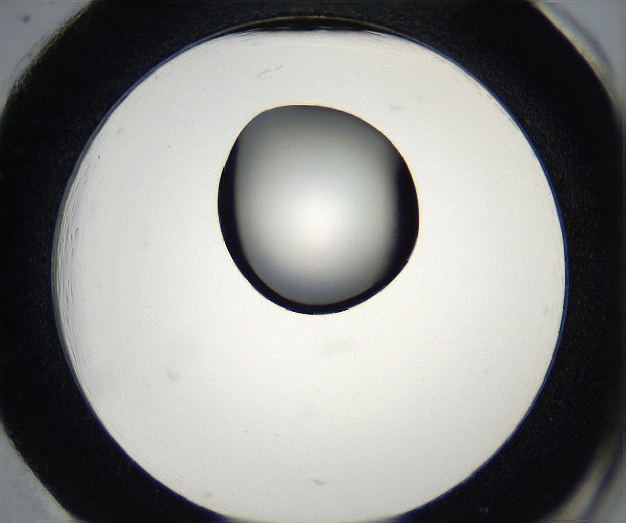 folderID175_plateID2175_batchID9608_wellNum85_profileID1_d2_r147120_ef.jpg
