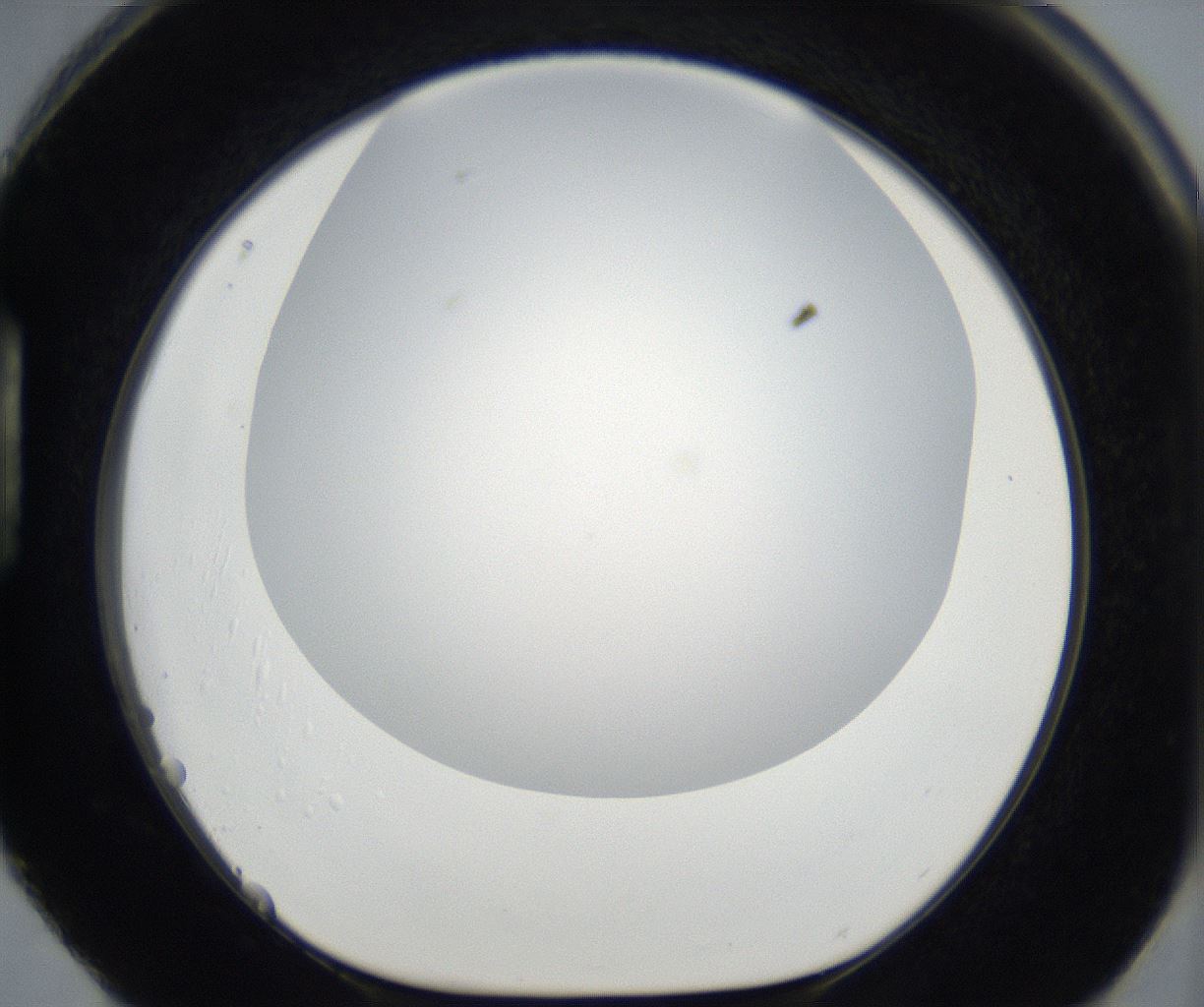 folderID175_plateID2175_batchID9608_wellNum88_profileID1_d1_r147125_ef.jpg