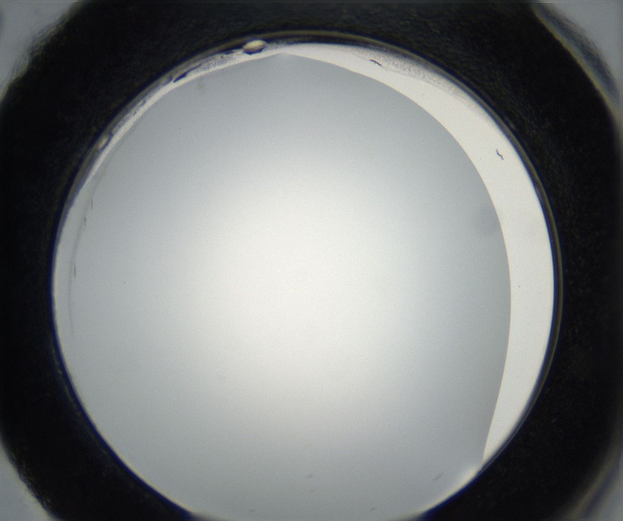 folderID175_plateID2175_batchID9608_wellNum88_profileID1_d2_r147126_ef.jpg