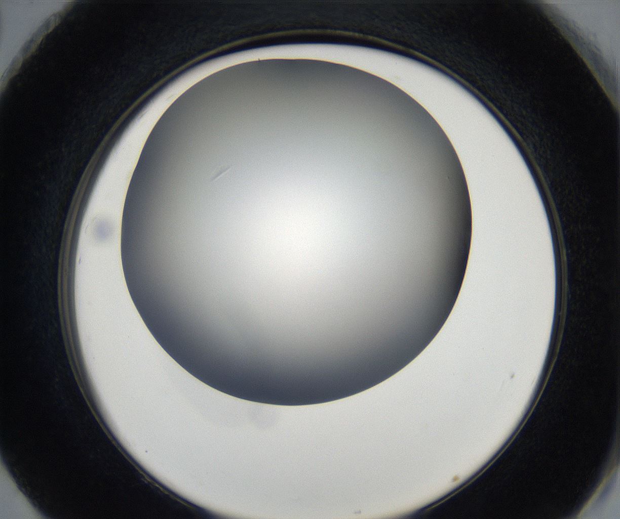 folderID175_plateID2175_batchID9608_wellNum92_profileID1_d2_r147134_ef.jpg