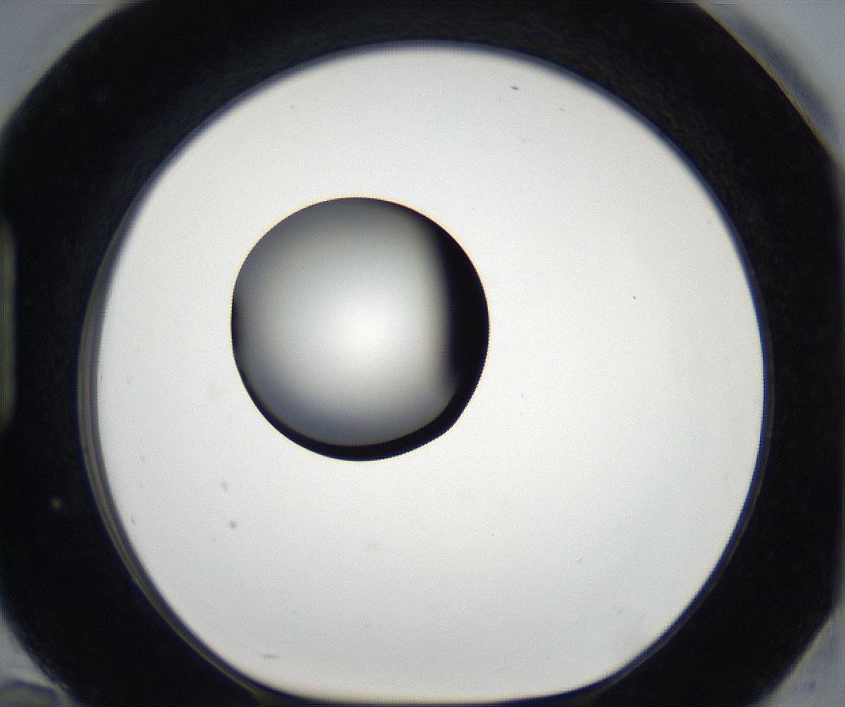 folderID175_plateID2175_batchID9608_wellNum94_profileID1_d1_r147137_ef.jpg