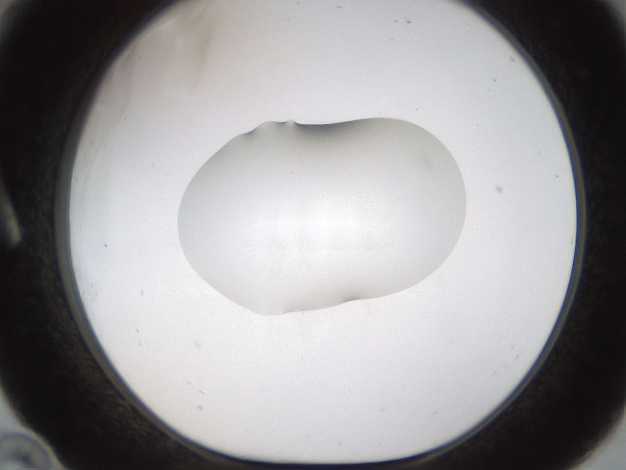 folderID176_plateID1176_batchID3247_wellNum10_profileID1_d1_r64648_ef.jpg