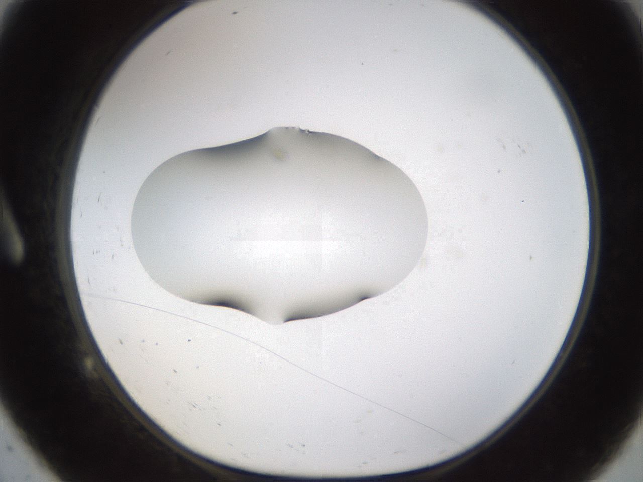 folderID176_plateID1176_batchID3247_wellNum9_profileID1_d1_r64647_ef.jpg