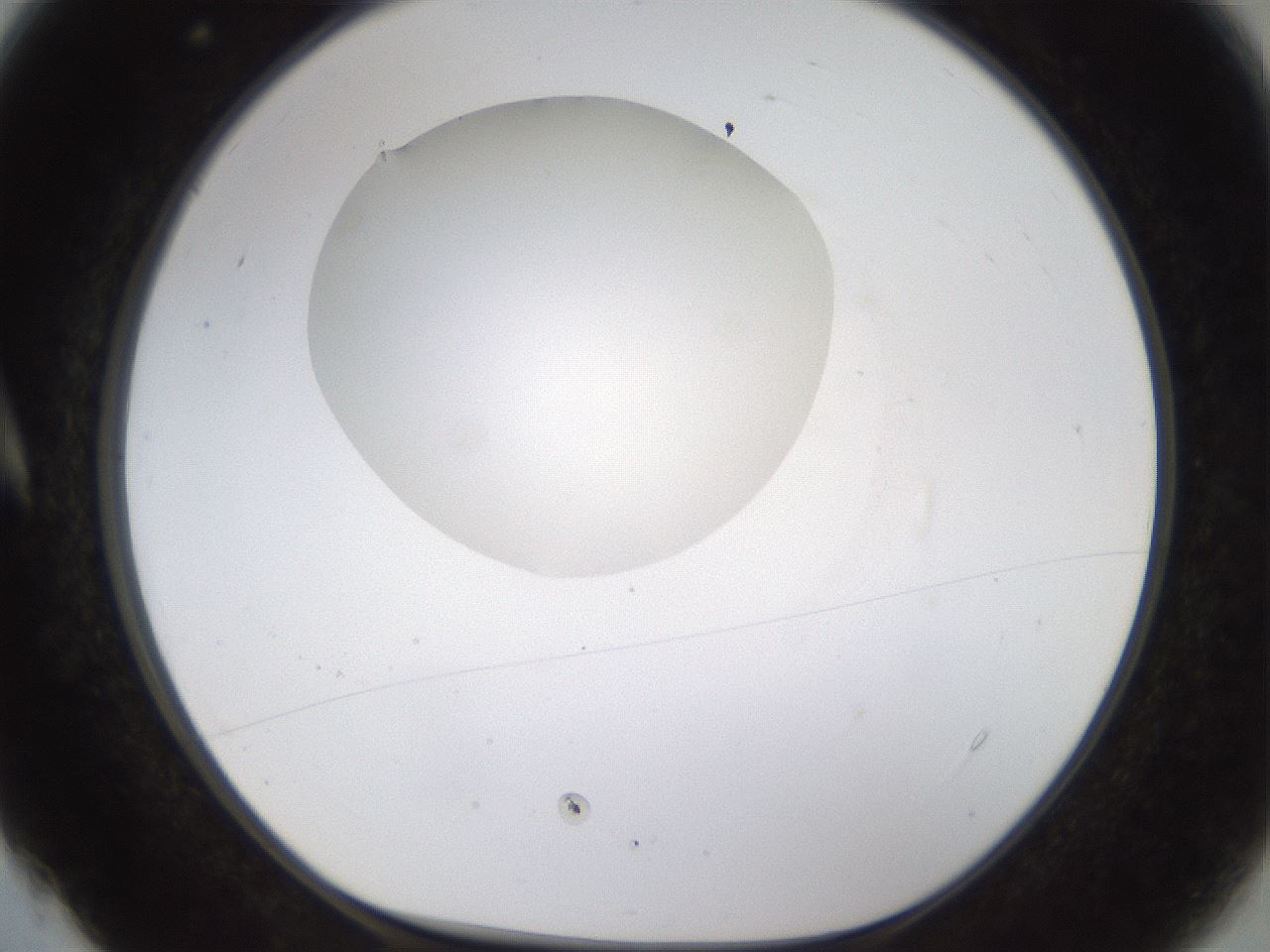folderID177_plateID1177_batchID3246_wellNum4_profileID1_d1_r64546_ef.jpg