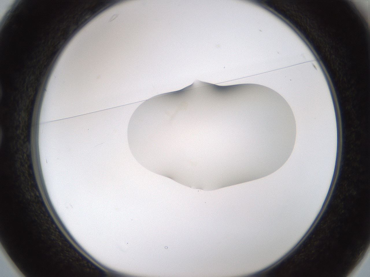 folderID176_plateID1176_batchID3247_wellNum25_profileID1_d1_r64663_ef.jpg