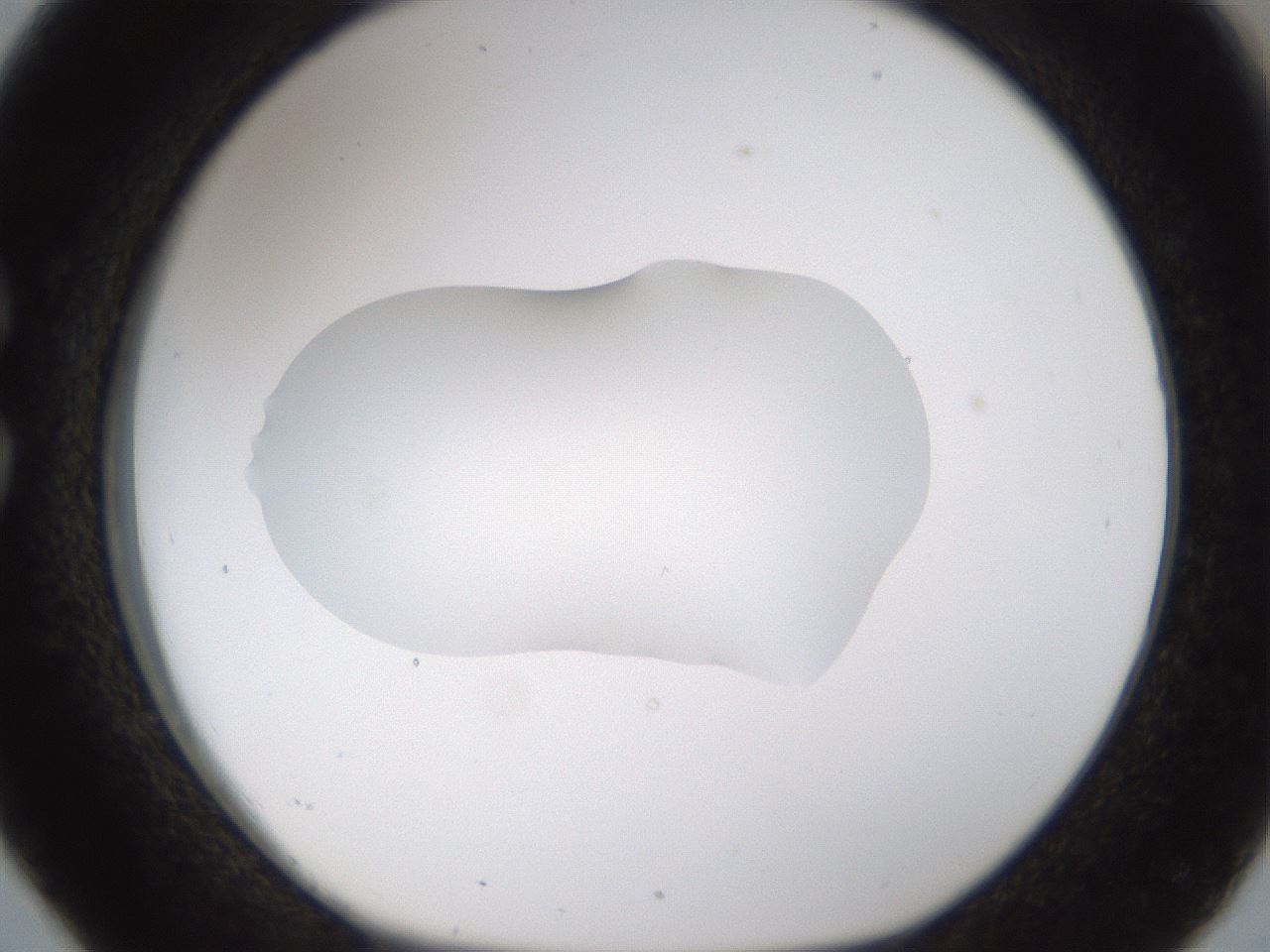 folderID176_plateID1176_batchID3247_wellNum26_profileID1_d1_r64664_ef.jpg
