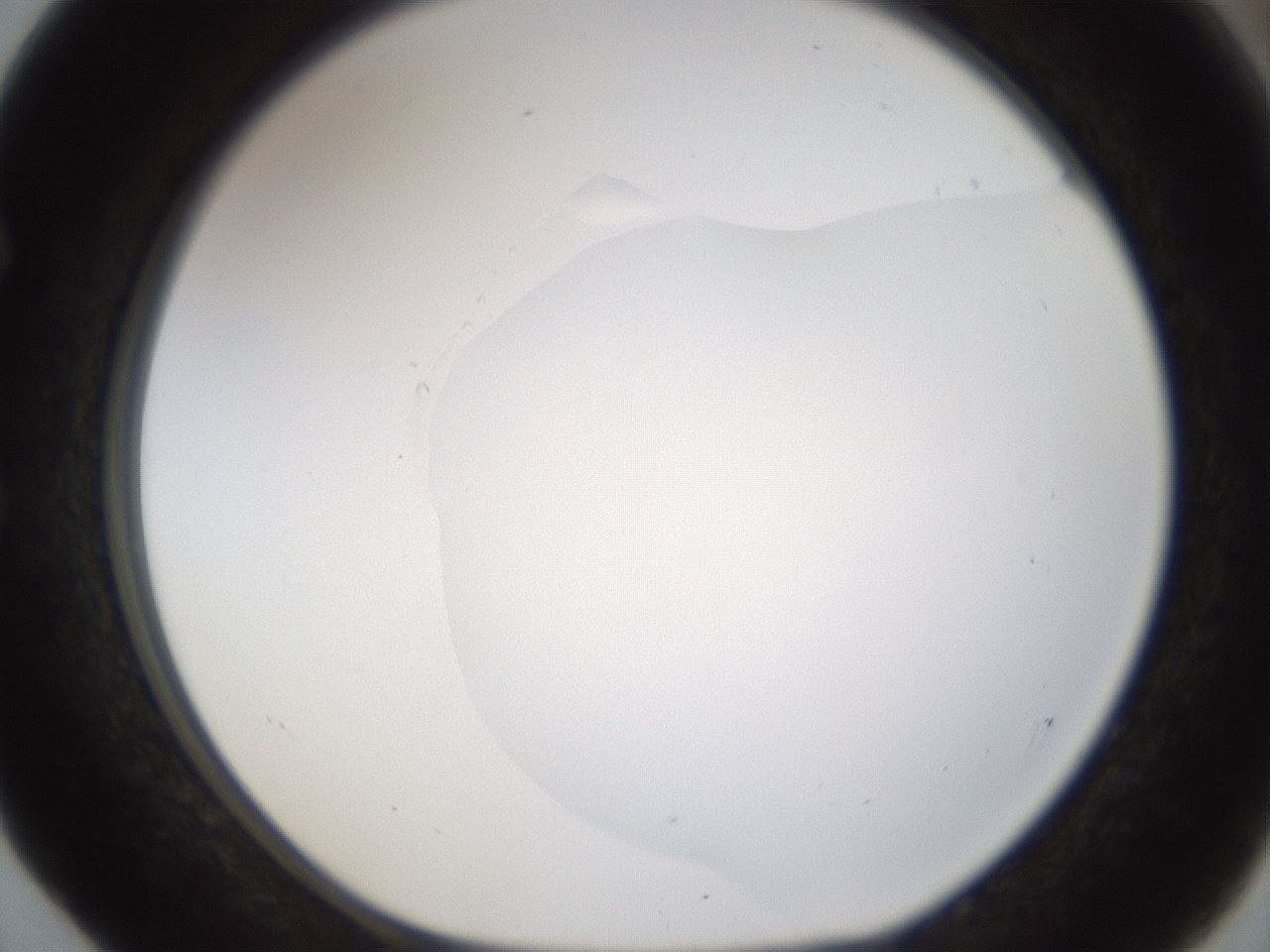 folderID176_plateID1176_batchID3247_wellNum52_profileID1_d1_r64690_ef.jpg