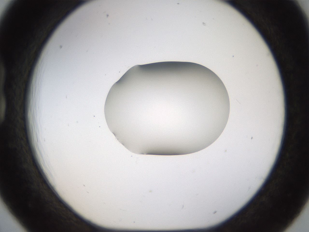 folderID177_plateID1177_batchID3246_wellNum18_profileID1_d1_r64560_ef.jpg