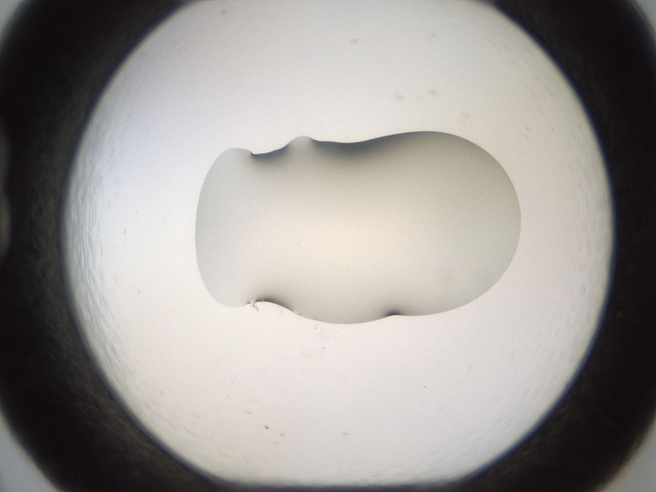 folderID177_plateID1177_batchID3246_wellNum20_profileID1_d1_r64562_ef.jpg