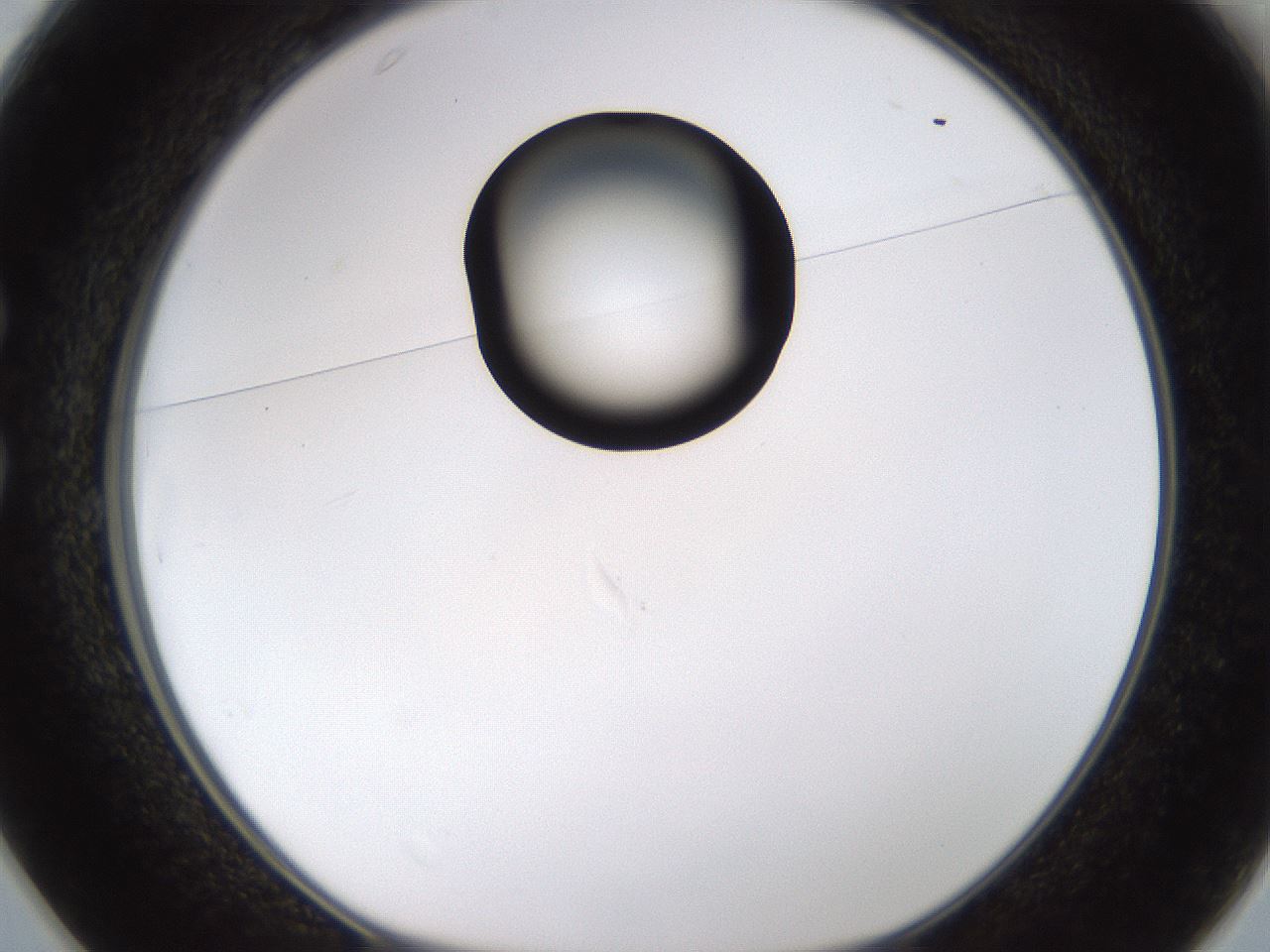 folderID177_plateID1177_batchID3246_wellNum25_profileID1_d1_r64567_ef.jpg