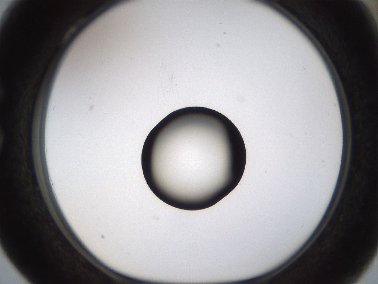 folderID177_plateID1177_batchID3246_wellNum28_profileID1_d1_r64570_ef.jpg