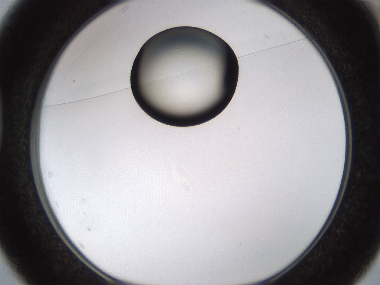 folderID177_plateID1177_batchID3246_wellNum37_profileID1_d1_r64579_ef.jpg